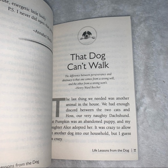 Life Lessons from the Dog by Amy Newmark - Picture 6 of 10